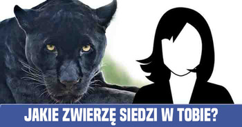 jakie-zwierze-siedzi-w-tobie